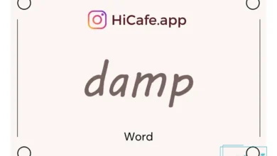 Meaning and usage of damp word