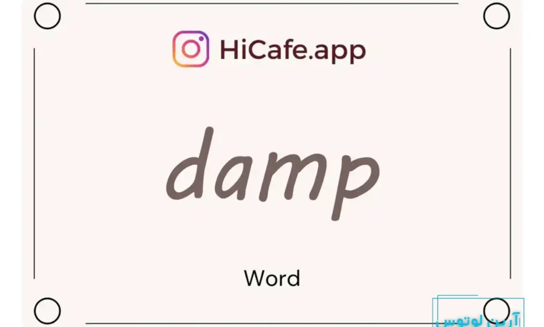 Meaning and usage of damp word