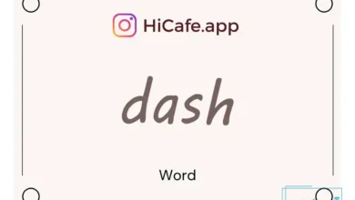 Meaning and usage of dash word