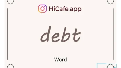 Meaning and usage of debt word