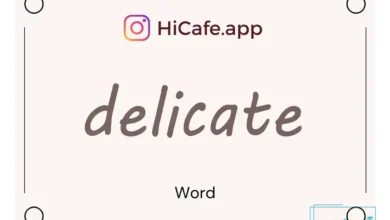 Meaning and usage of delicate word