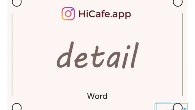 Meaning and usage of detail word