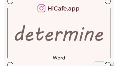 Meaning and usage of determine word