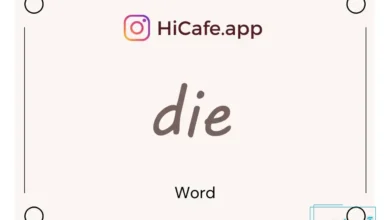 Meaning and usage of die word