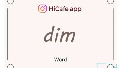 Meaning and usage of dim word