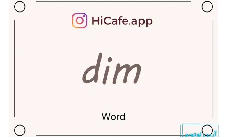 Meaning and usage of dim word
