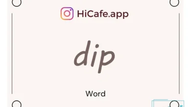 Meaning and usage of dip word