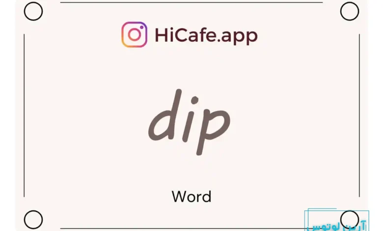 Meaning and usage of dip word