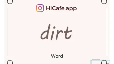 Meaning and usage of dirt word