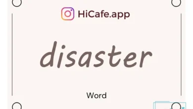 Meaning and usage of disaster word
