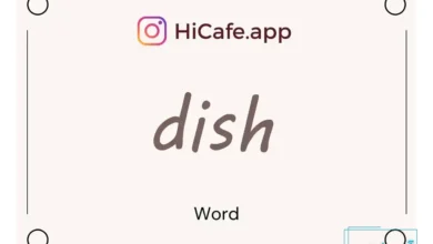 Meaning and usage of dish word