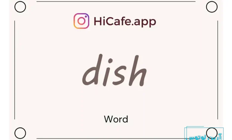 Meaning and usage of dish word