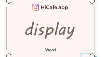 Meaning and usage of display word