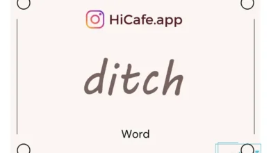 Meaning and usage of ditch word