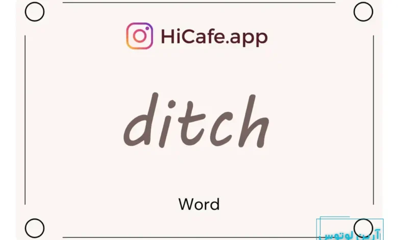 Meaning and usage of ditch word