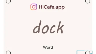 Meaning and usage of dock word