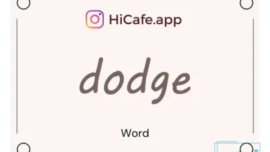 Meaning and usage of dodge word