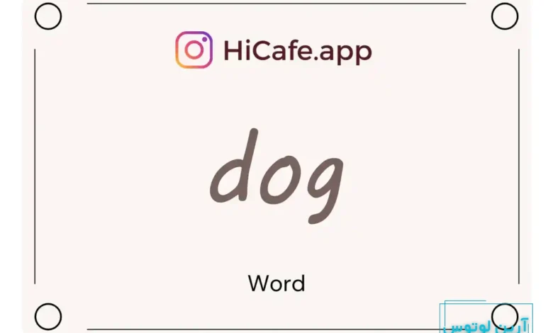 Meaning and usage of dog word