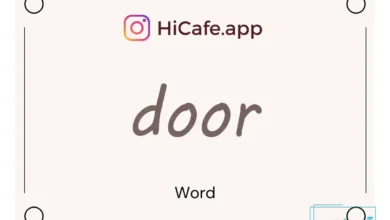 Meaning and usage of door word