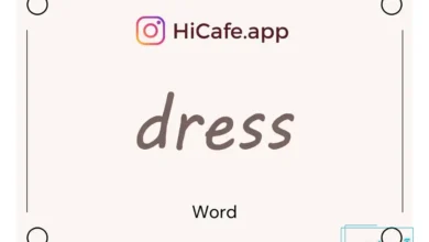 Meaning and usage of dress word