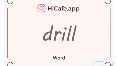 Meaning and usage of drill word