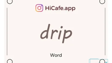 Meaning and usage of drip word
