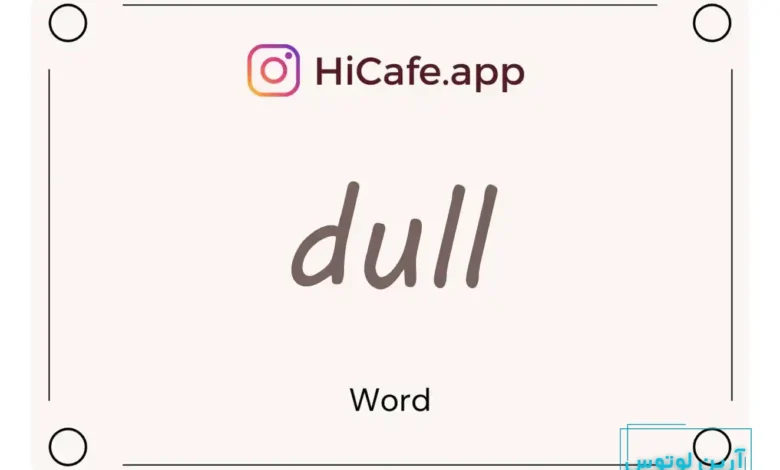 Meaning and usage of dull word