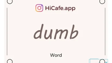 Meaning and usage of dumb word