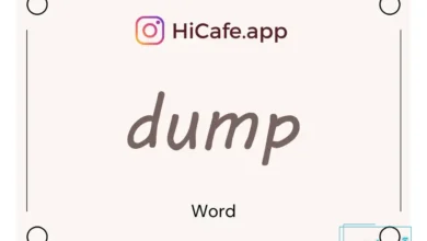 Meaning and usage of dump word
