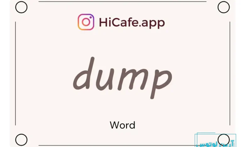 Meaning and usage of dump word
