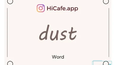 Meaning and usage of dust word