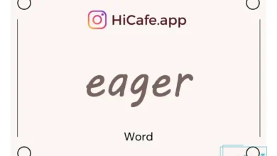 Meaning and usage of eager word