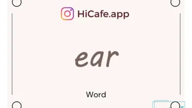 Meaning and usage of ear word
