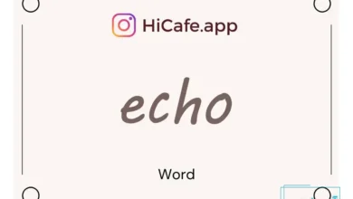 Meaning and usage of echo word