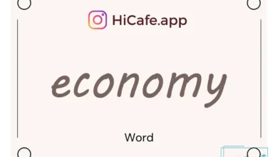 Meaning and usage of economy word