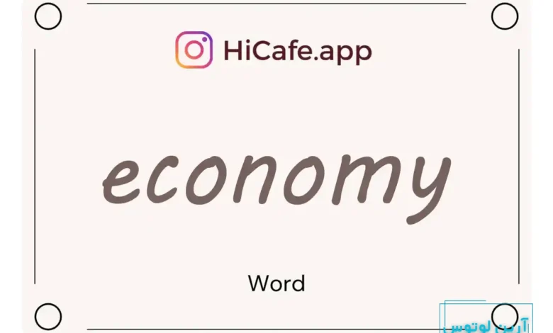 Meaning and usage of economy word