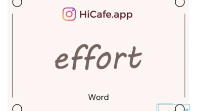 Meaning and usage of effort word