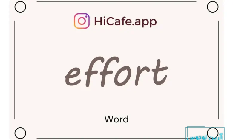 Meaning and usage of effort word