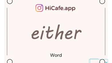 Meaning and usage of either word