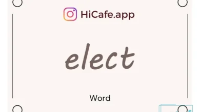 Meaning and usage of elect word