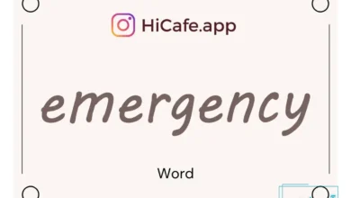 Meaning and usage of emergency word