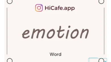 Meaning and usage of emotion word