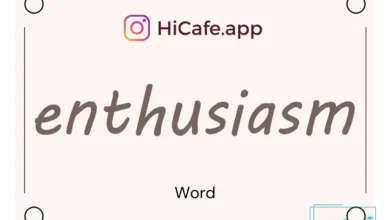 Meaning and usage of enthusiasm word