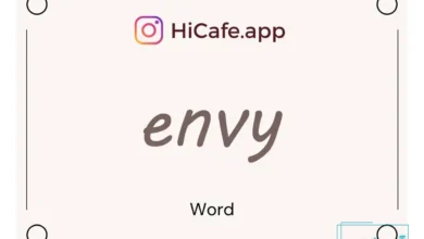 Meaning and usage of envy word