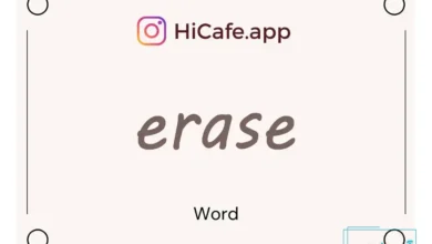 Meaning and usage of erase word