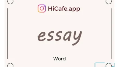 Meaning and usage of essay word