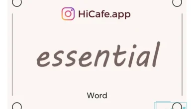 Meaning and usage of essential word