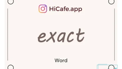 Meaning and usage of exact word
