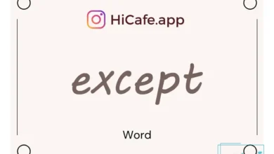 Meaning and usage of except word