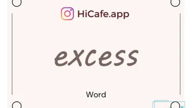 Meaning and usage of excess word